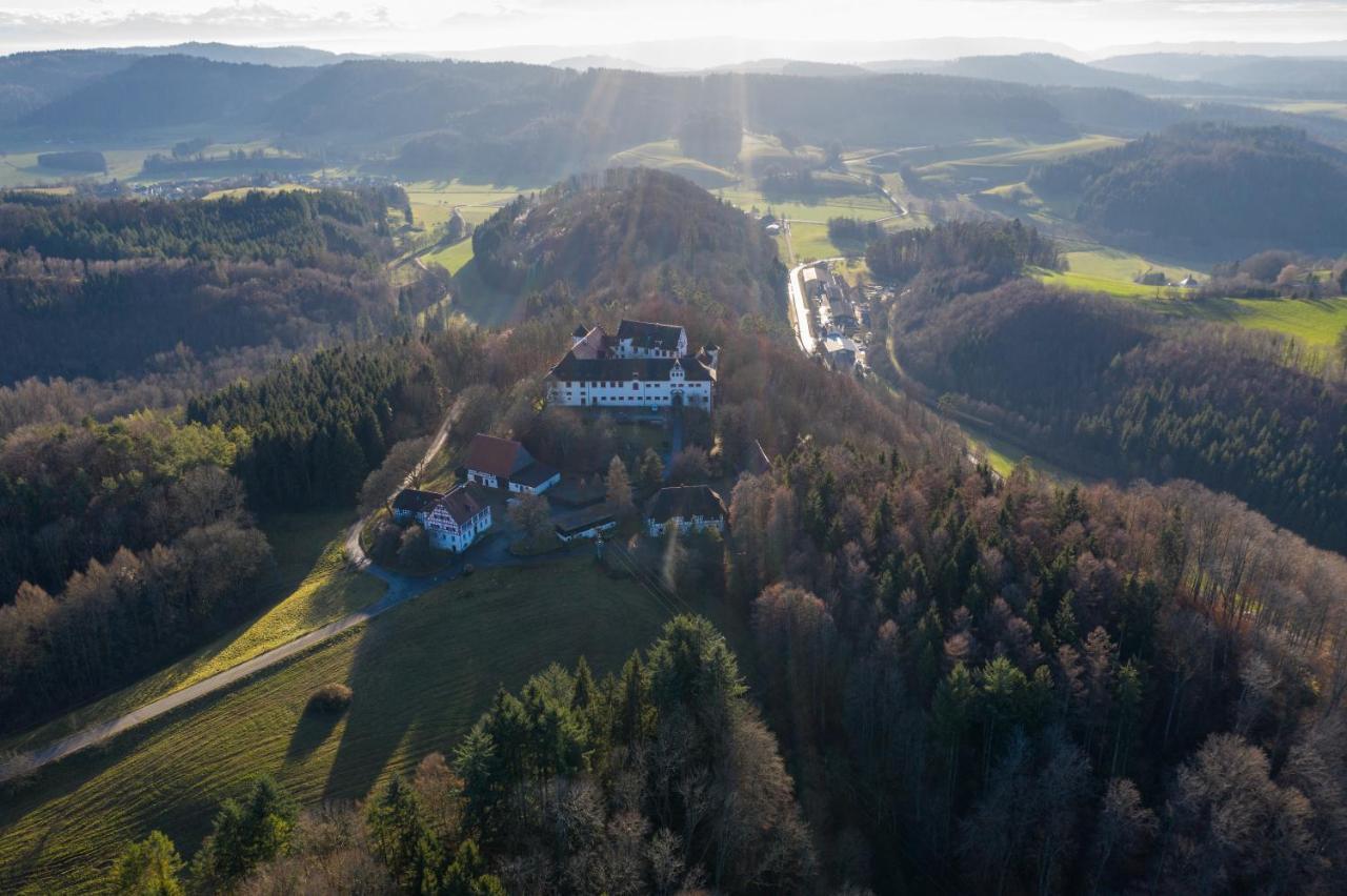 Hotel & Tagungszentrum Schloss Hohenfels Hohenfels  Kültér fotó