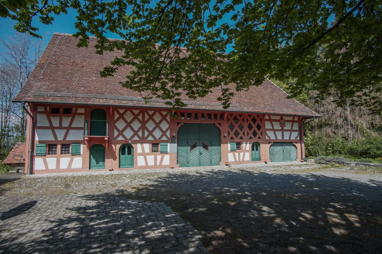 Hotel & Tagungszentrum Schloss Hohenfels Hohenfels  Kültér fotó