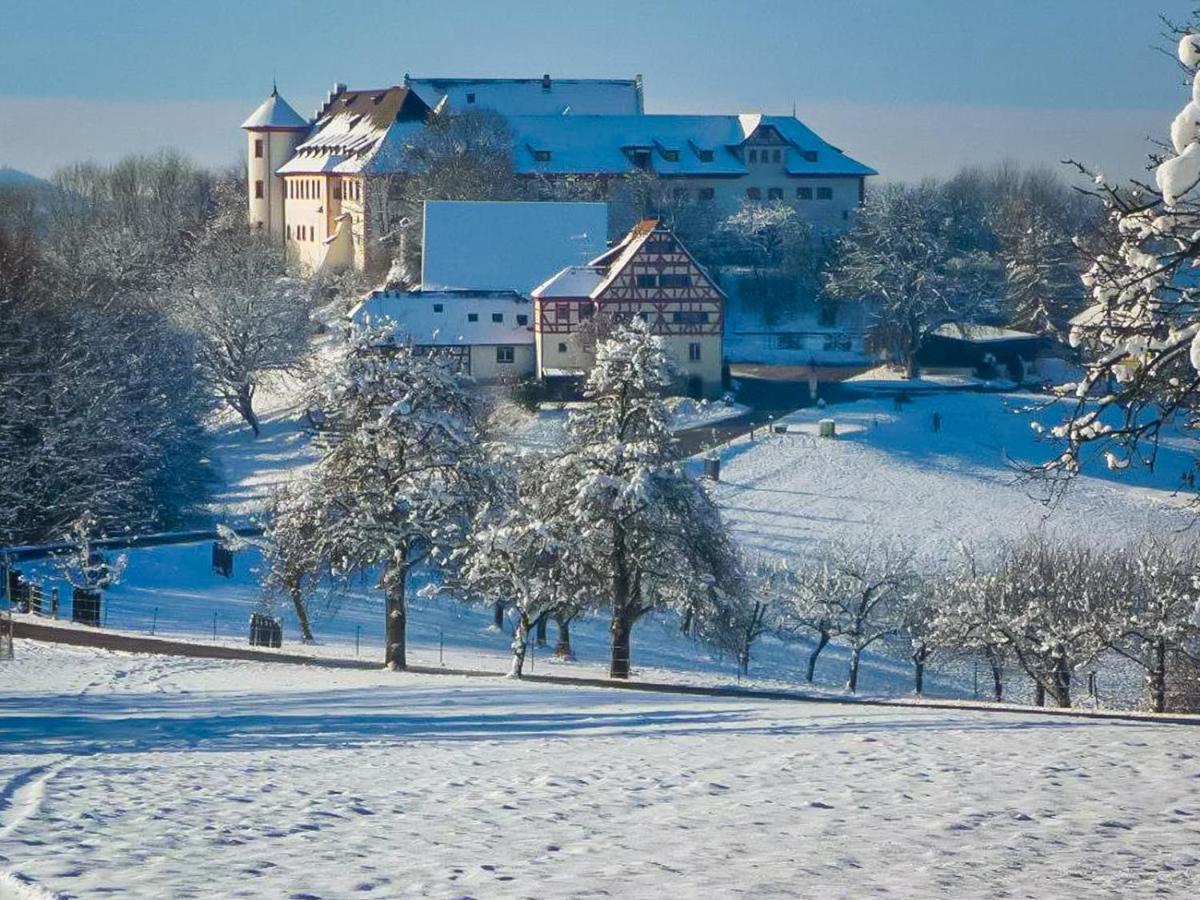 Hotel & Tagungszentrum Schloss Hohenfels Hohenfels  Kültér fotó