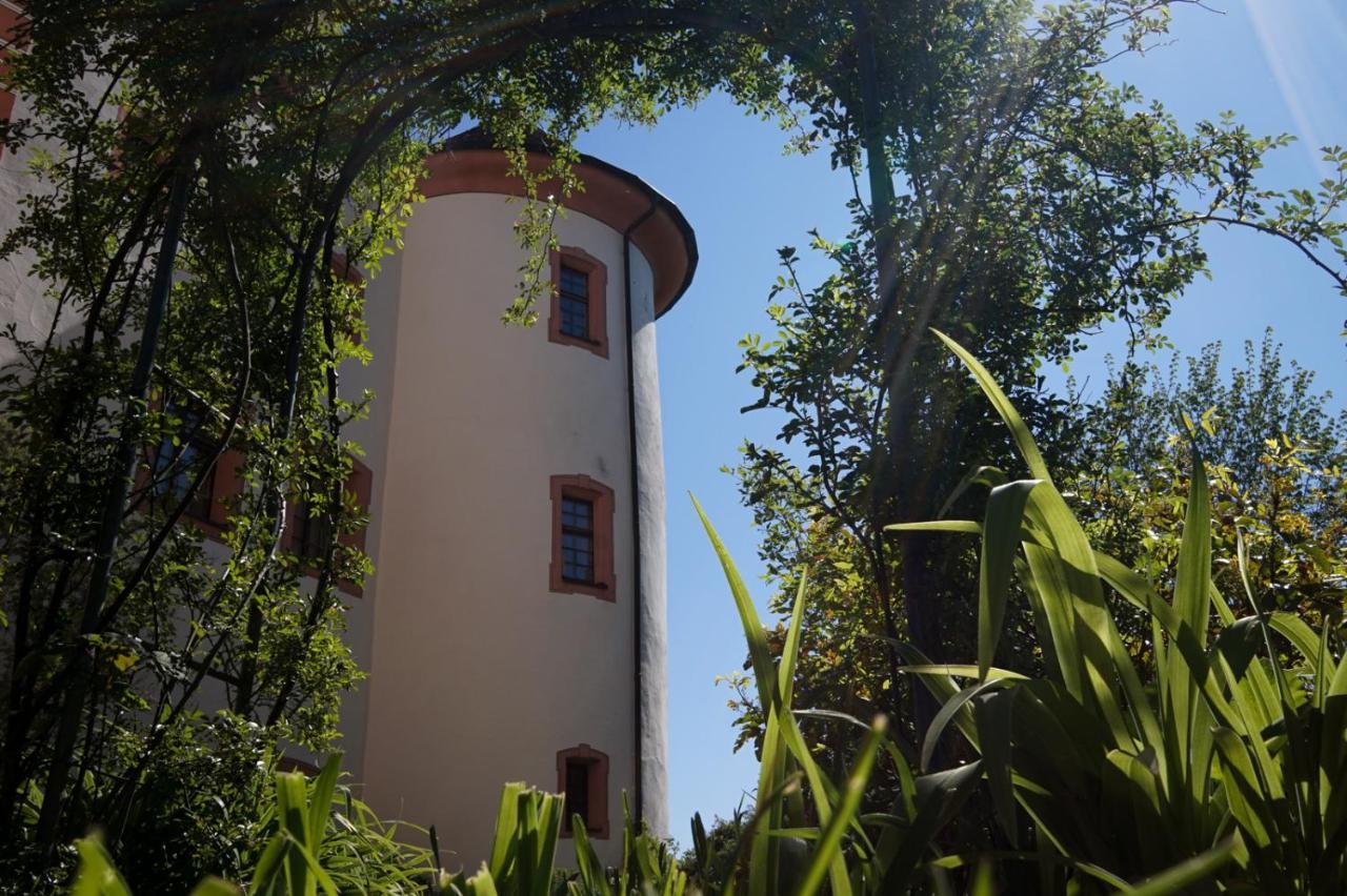 Hotel & Tagungszentrum Schloss Hohenfels Hohenfels  Kültér fotó