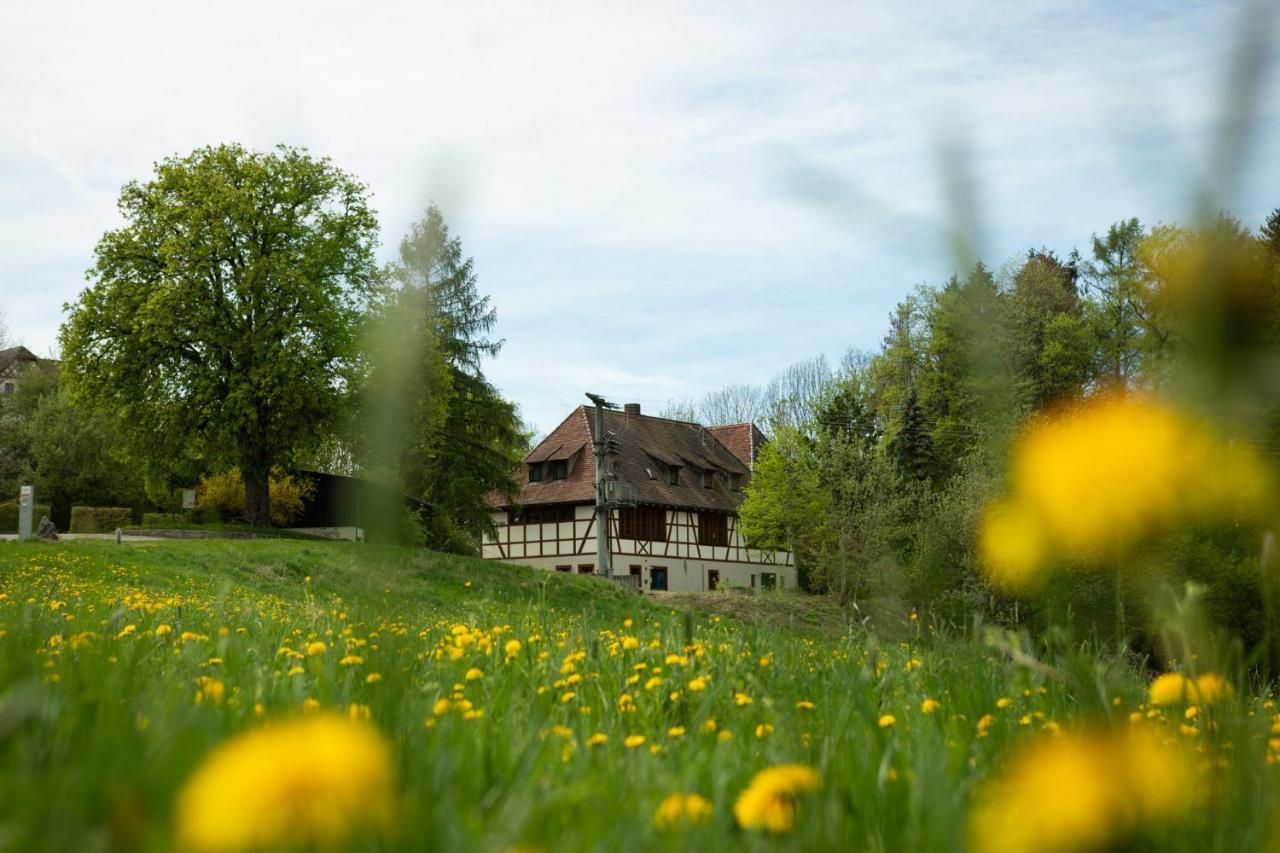 Hotel & Tagungszentrum Schloss Hohenfels Hohenfels  Kültér fotó