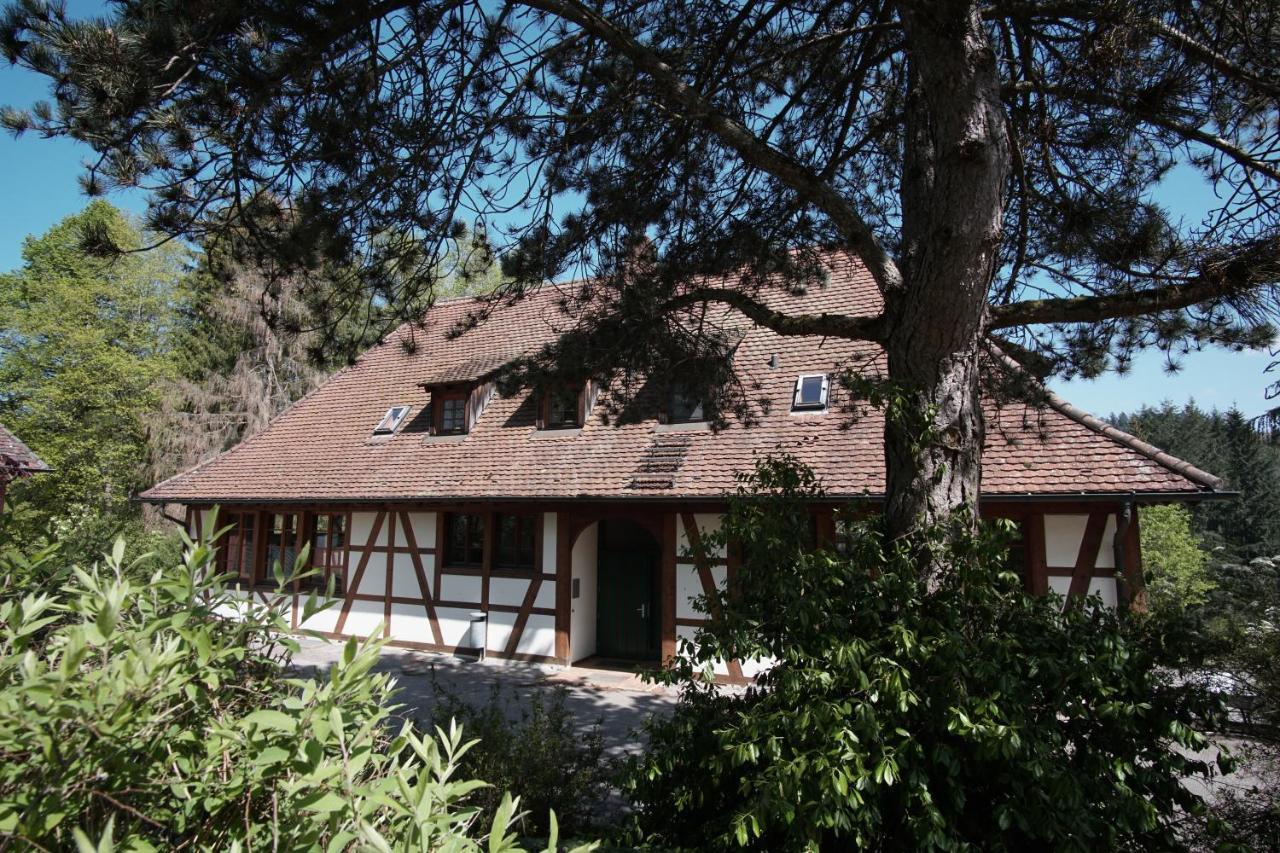 Hotel & Tagungszentrum Schloss Hohenfels Hohenfels  Kültér fotó